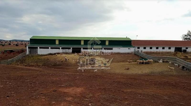 Foto c823b150-50ea-4535-80ea-ad37f7937849. Terreno residencial en Pozuelos de Calatrava (Los)