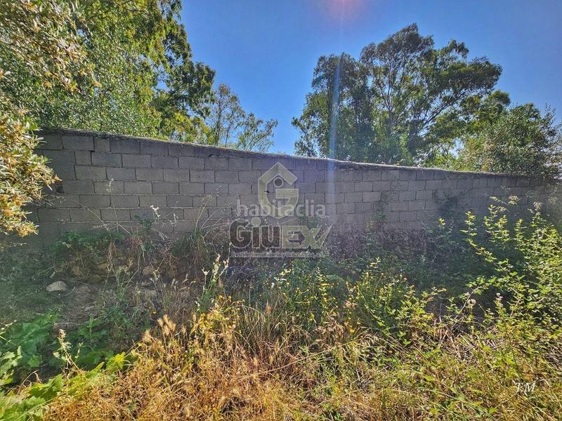 Foto 05d01eaa-3a24-42e8-8f76-17613acb2ba9. Finca rústica en Cañaveral