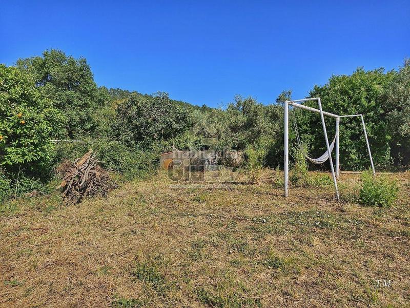 Foto 2c893682-7a15-416b-8c9e-2ca1785bac7e. Finca rústica en Cañaveral