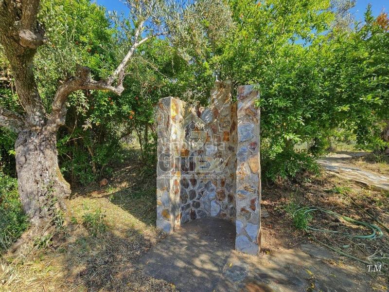 Foto 6a10ee9c-8448-481f-9664-a8e530086705. Finca rústica en Cañaveral