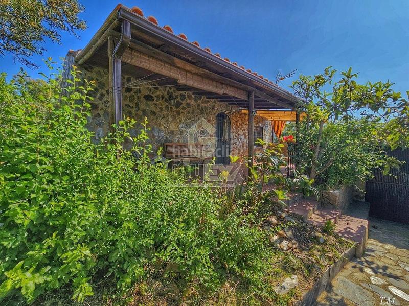 Foto c7e81c1e-7389-45bb-bc3c-d1d4192381e5. Finca rústica en Cañaveral