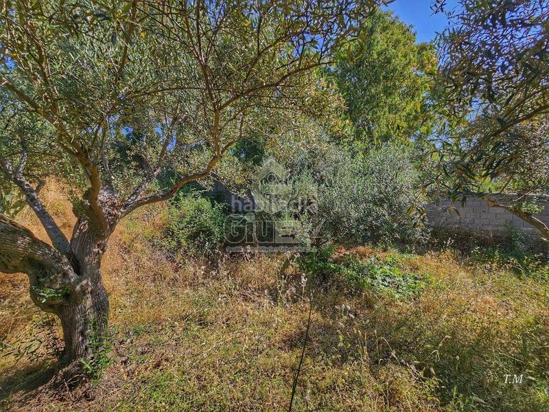 Foto 28a2bb9b-79c3-4175-a1f1-b5035a7bafaf. Casa en Cañaveral