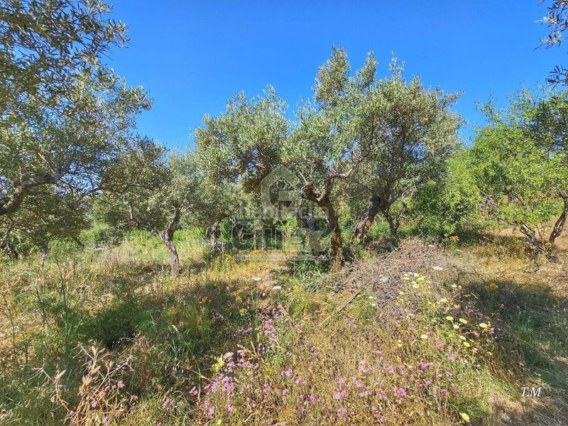 Foto 2a9723a9-fcbd-4c78-80da-fb777509370f. Casa en Cañaveral