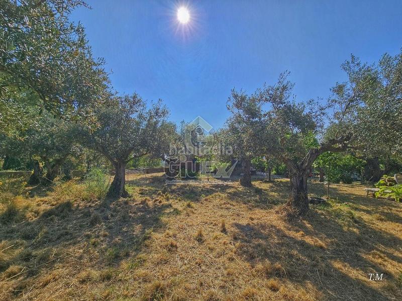 Foto 571b1ad0-0c93-4454-9178-9f54f206f1a6. Casa en Cañaveral