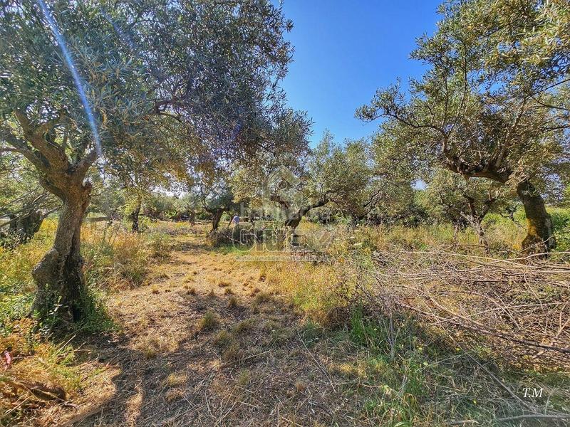 Foto 5a8e75ca-f958-434b-a644-deba643339fd. Casa en Cañaveral