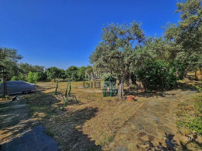 Foto 9d1e7128-4b7d-4748-87f3-6417f2adb284. Casa en Cañaveral