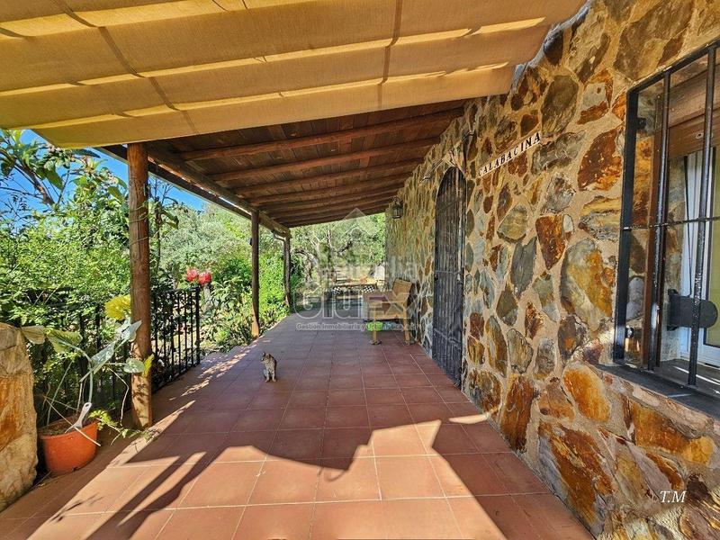 Foto db6fe3bf-49b2-410f-910a-094cf62d41ba. Casa en Cañaveral