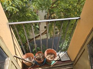 Flat in Carrer de l'allada-vermell 13. Piso sin pasillo, 4ª planta sin ascensor.