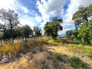 Terreno residencial en Carrer Sensitiva
