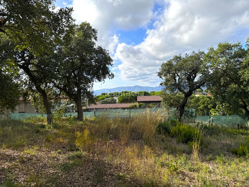 Foto a80a73ee-50b7-4085-b7fe-bdb413bd0542. Terreny residencial a Mas Mora-Sant Daniel Tordera