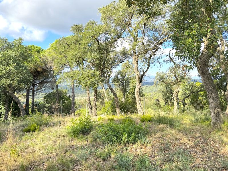 Foto ef008083-5c3c-4887-962c-b3a52fffb572. Terreny residencial a Mas Mora-Sant Daniel Tordera