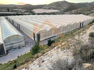Residential Plot in Los Tablones - La Garnatilla. Invernadero en los tablones motril