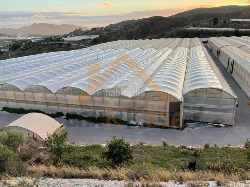 Foto a0435ce6-56d7-423c-a4f0-b21145e25621. Wohngrundstück in Los Tablones - La Garnatilla Motril