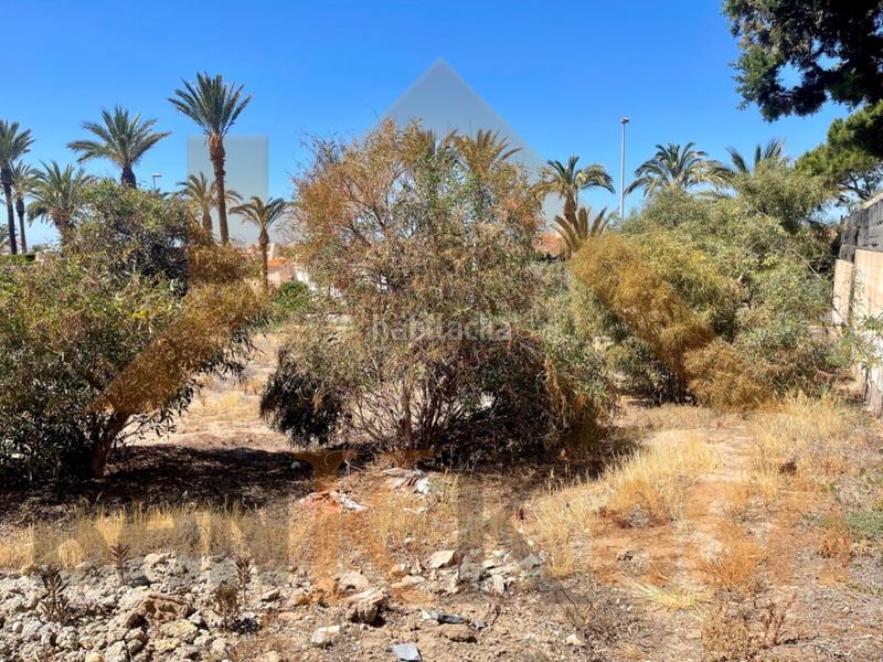 Foto a0796654-15fe-480f-a163-98f66c0bd1f2. Terreno residenziale in Almerimar Ejido (El)