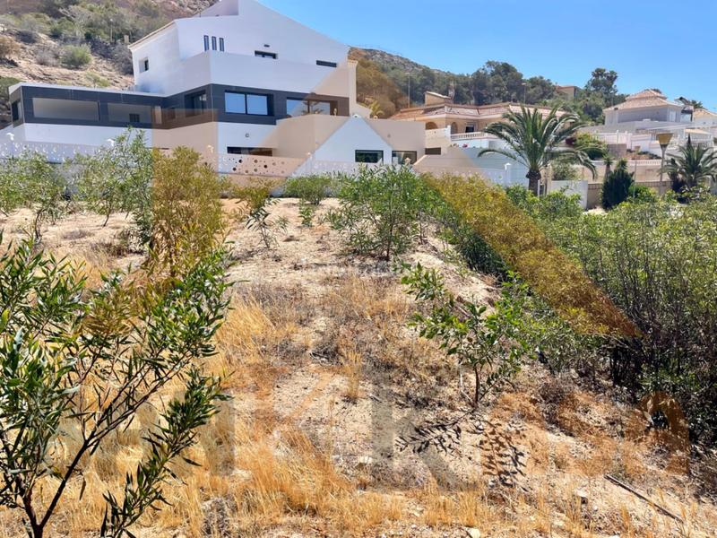 Foto 0b49494e-133e-4e4b-aa76-a2ca1848874d. Terreno residenziale in Almerimar Ejido (El)