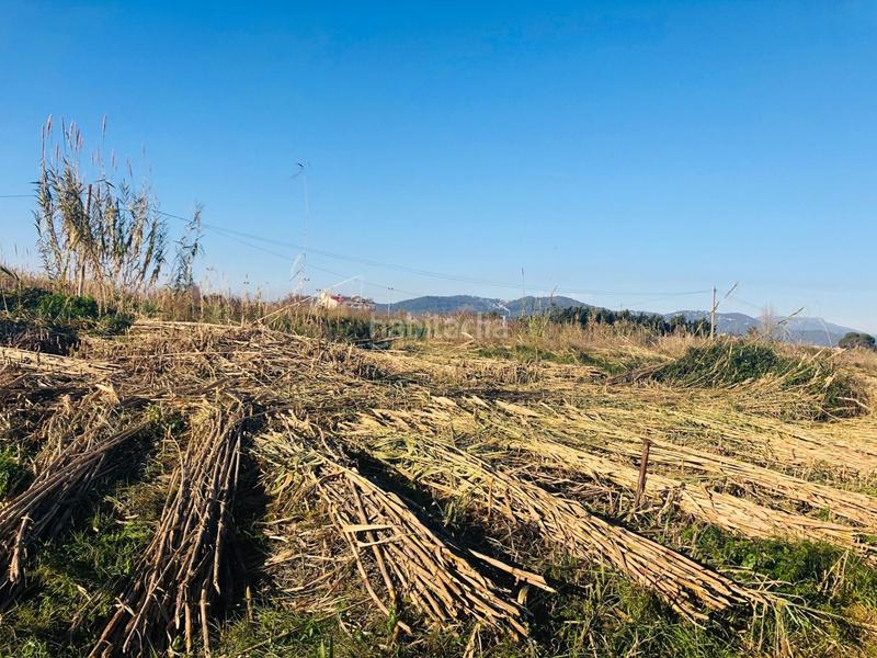 Foto 36f40a48-eae6-4d91-9d63-6a523db18925. Fondo rustico in Malgrat de Mar