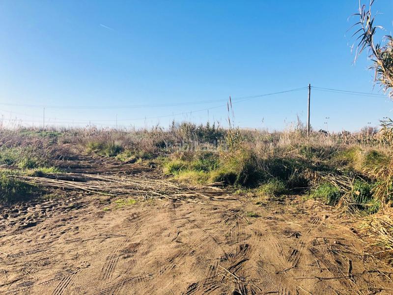 Foto 46c63659-d271-4449-a323-ca08eb25ff8c. Fondo rustico in Malgrat de Mar