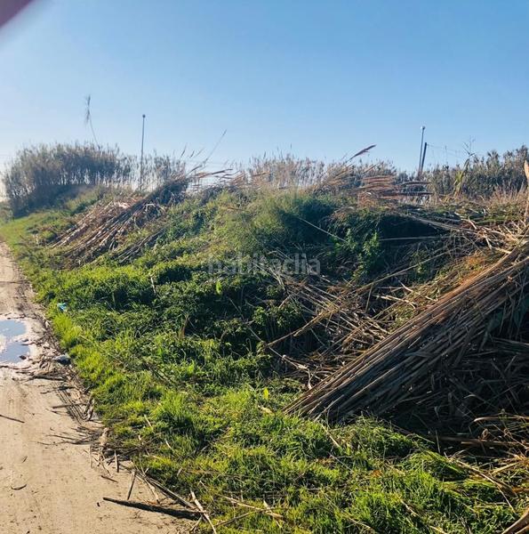 Foto 472193a4-4dc9-420e-b53f-e662e63a05a3. Fondo rustico in Malgrat de Mar