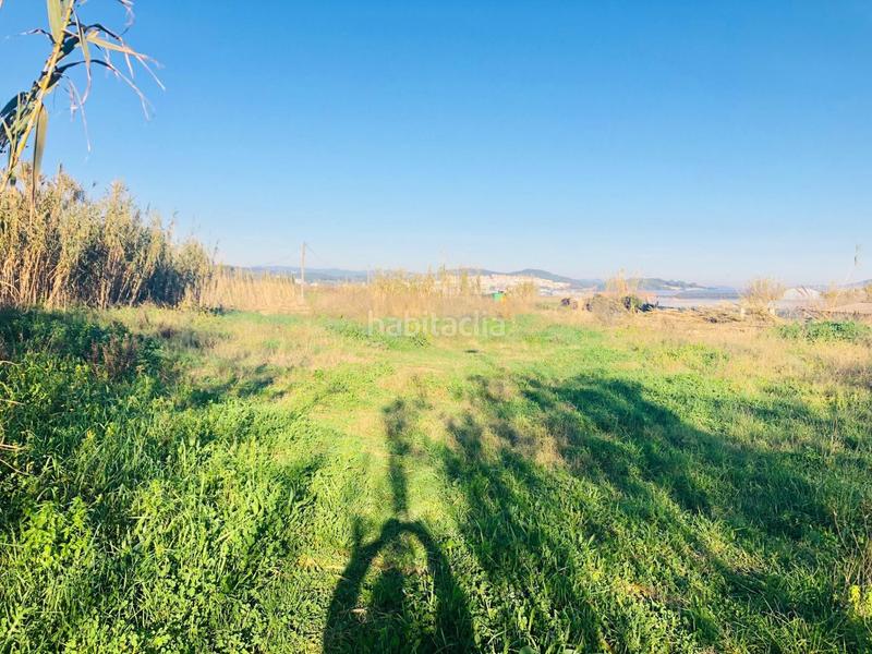 Foto 581206f7-e8a1-476f-a84a-4c2ad2db6093. Fondo rustico in Malgrat de Mar