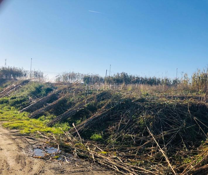 Foto 7636ae4d-a2bb-4c00-af9d-ddda774dcdfa. Fondo rustico in Malgrat de Mar