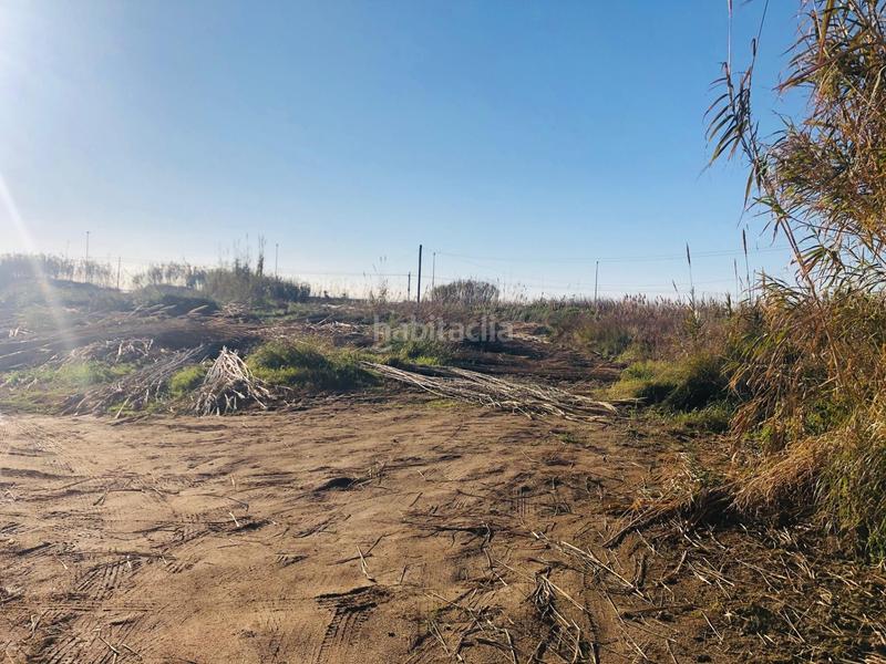 Foto 76ad8b9b-85cf-48a9-9854-dad1e56f7407. Fondo rustico in Malgrat de Mar