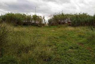 Propriété à Malgrat de Mar. Uso agrícola a 1ª línea de mar