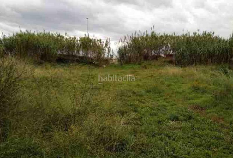 Foto 817b5ac8-1292-4839-9bc3-636ecc3e91b2. Fondo rustico in Malgrat de Mar