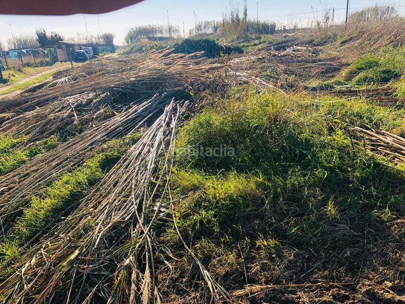 Foto e08474b4-0690-4bf3-abfd-fe50b7cc16eb. Fondo rustico in Malgrat de Mar