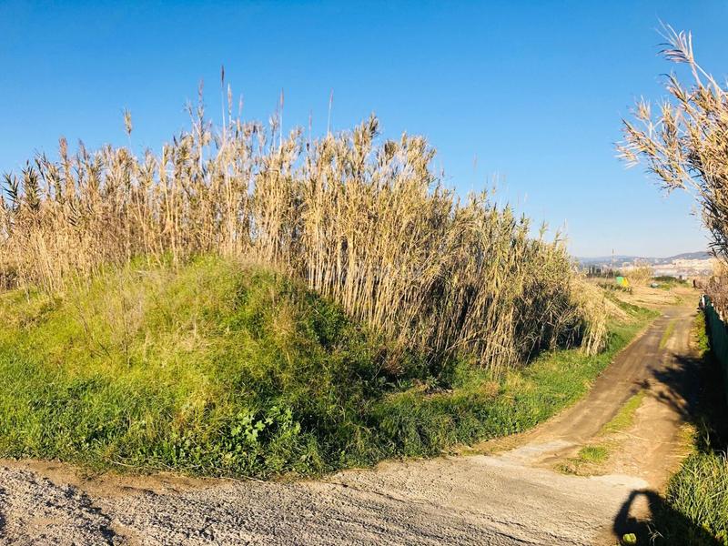 Foto e0be2ee3-9a93-4e9c-b100-ba3360d4af59. Fondo rustico in Malgrat de Mar