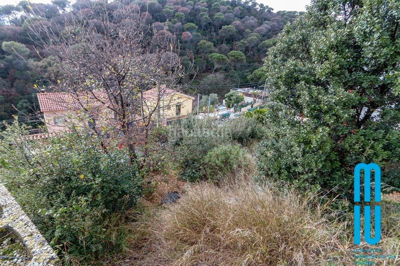 Foto 495e8dbd-d697-4a51-ab21-96e397ffe739. Finca rústica a Vallgorguina