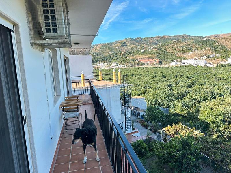 Foto 01df871a-54c9-4066-894d-1c69289e866a. Bauernhof in zanahoria pol 25 357b in Torrecuevas - Lomas del Gato Almuñécar