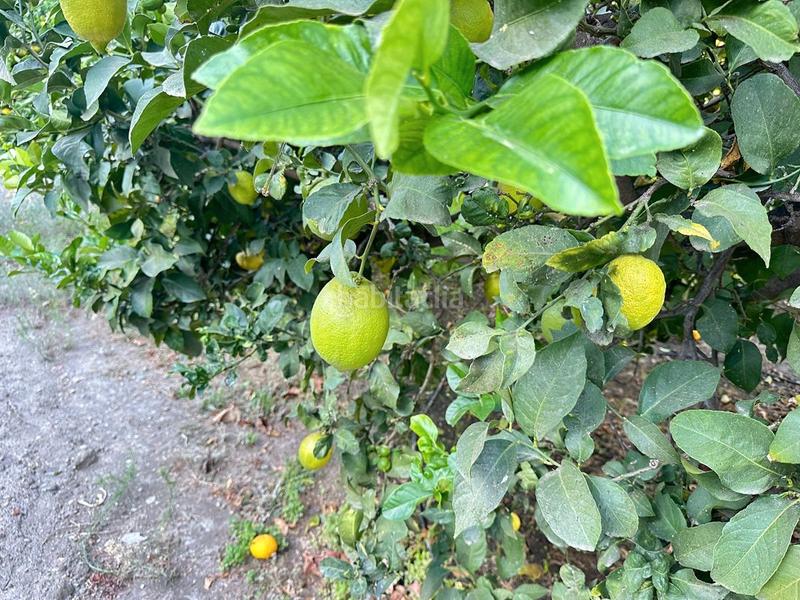 Foto 100468f3-4671-4972-8e3d-3c664eefa11d. Bauernhof in zanahoria pol 25 357b in Torrecuevas - Lomas del Gato Almuñécar