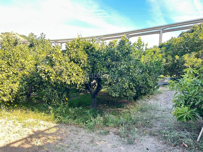 Foto 5703ea96-810a-476a-be25-f172b45930cc. Bauernhof in zanahoria pol 25 357b in Torrecuevas - Lomas del Gato Almuñécar