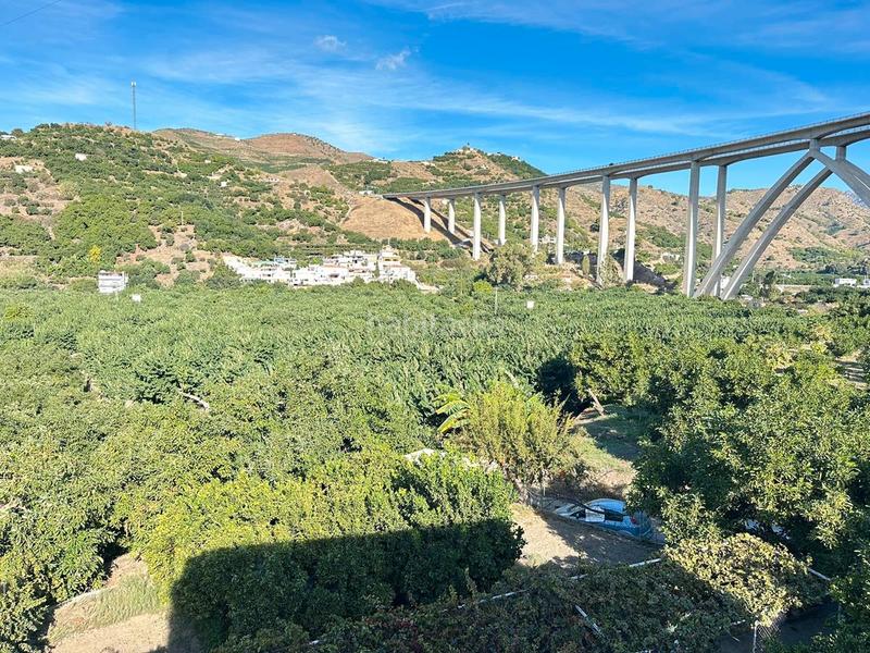 Foto 669810be-9975-4579-8f04-f3d28b1bf55e. Bauernhof in zanahoria pol 25 357b in Torrecuevas - Lomas del Gato Almuñécar