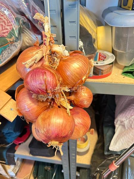 Foto a44056f2-a000-4c2b-97a7-e94db75701da. Bauernhof in zanahoria pol 25 357b in Torrecuevas - Lomas del Gato Almuñécar