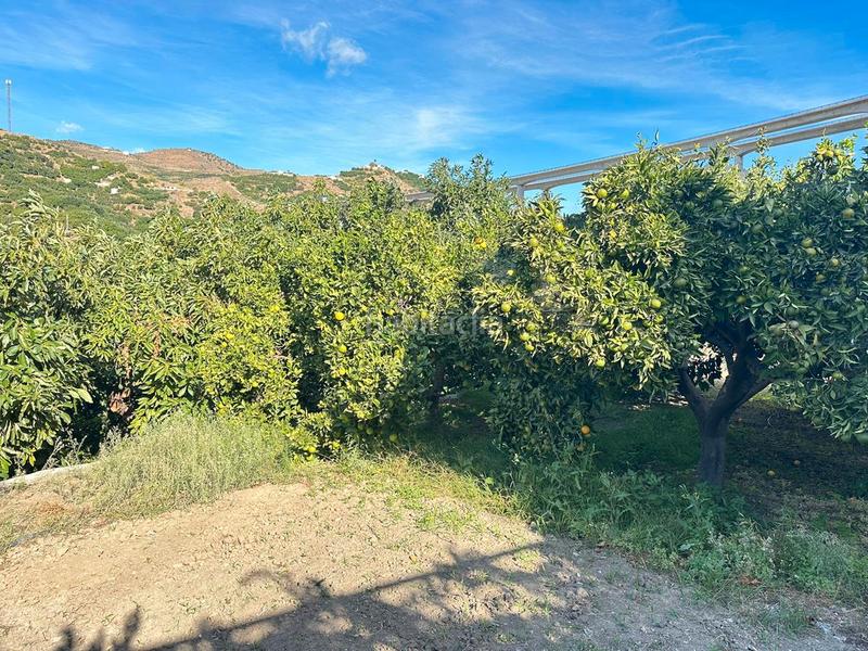 Foto d467537f-ca5d-448e-8a45-c01e84156922. Bauernhof in zanahoria pol 25 357b in Torrecuevas - Lomas del Gato Almuñécar