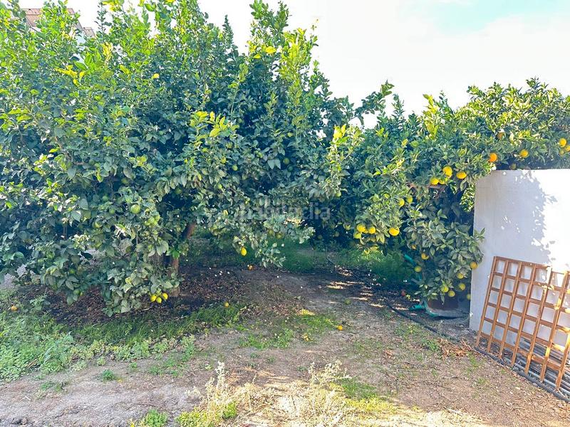 Foto f387e8f6-ddc1-47d7-b41d-9beef23a7a34. Bauernhof in zanahoria pol 25 357b in Torrecuevas - Lomas del Gato Almuñécar