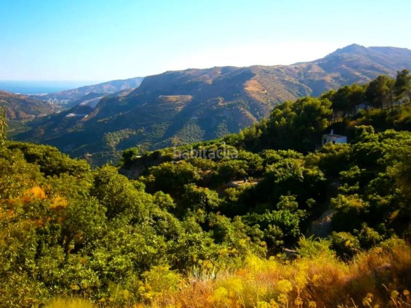 Foto 86a12d42-5f8a-4eac-abbf-398c3eef1cea. Landgut in Otívar