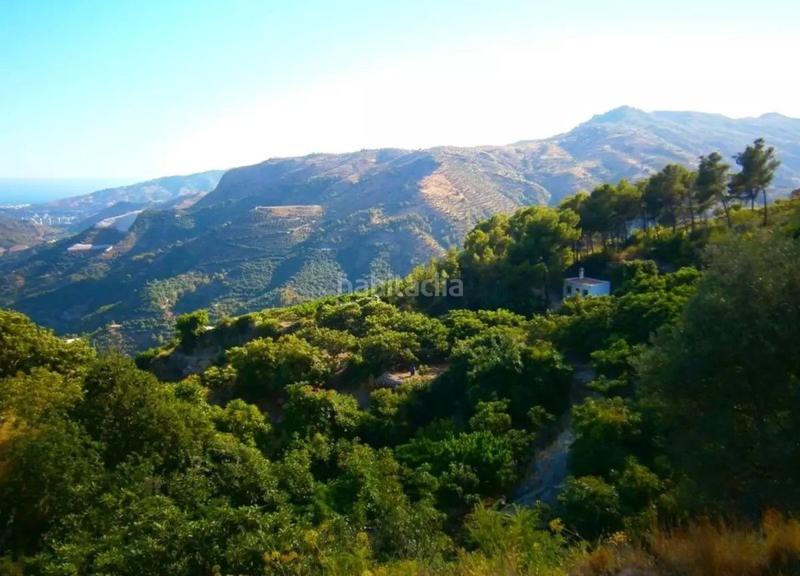 Foto c3cc84e3-9a41-4bc3-ac27-43dfb1a9812a. Landgut in Otívar