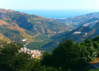 Finca rstica  A-4050. Finca el algarrobal, otivar