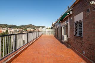 Àtic  Feliu i codina. Feliu i codina