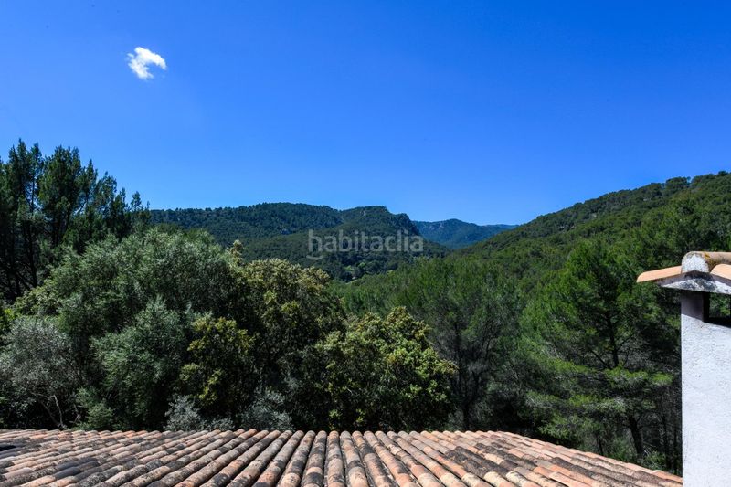 Foto 9898bddb-fb0d-4f23-985d-8b0e1757e866. Xalet amb calefacció piscina a Establiments Palma de Mallorca