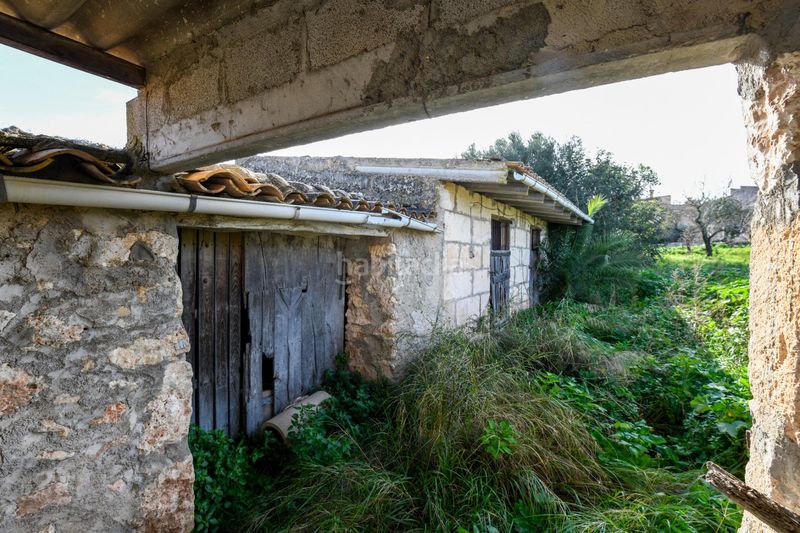 Foto 541916f3-0526-408d-bc9b-9a4b1f31a04a. Masia amb aparcament piscina a Costitx