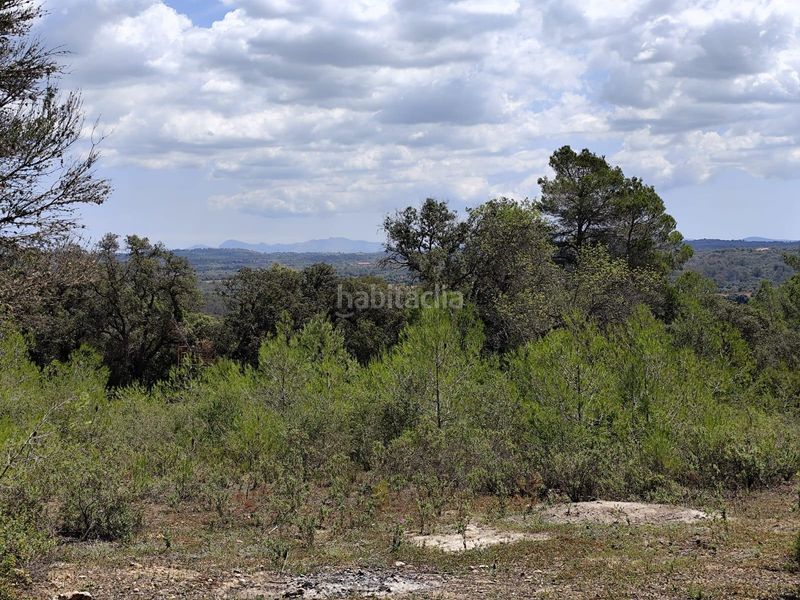 Foto 67260be6-c34c-4813-9c8a-fcb34213f9e9. Terreny residencial a Costitx