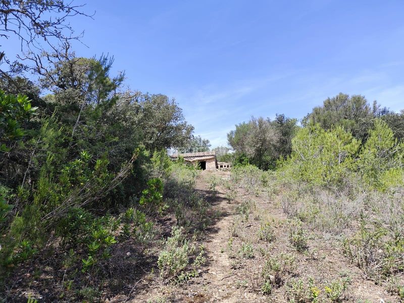 Foto e304c677-0f64-4b6a-94cf-40e18648d9d5. Terreny residencial a Costitx