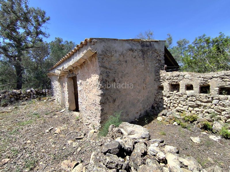 Foto eeb55682-9dcf-4124-b588-8556fb5e0986. Terreny residencial a Costitx