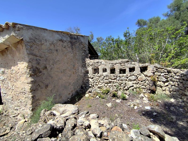 Foto eeb69a7f-b8b5-4dc3-b77d-e05f6157ed03. Terreny residencial a Costitx