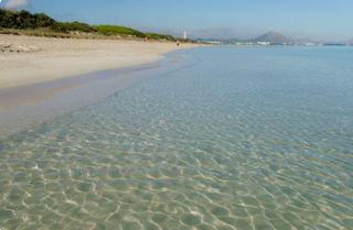 Pis  Rodriguez de la fuente