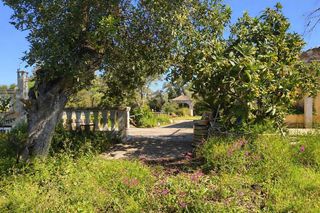 Miete Bauernhof in Costitx. Finca rústica con piscina y parcela de 3.400 m2 en costitx  alqu