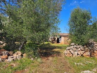 Rural plot in Costitx. Finca rústica costitx 14.878,19 m2